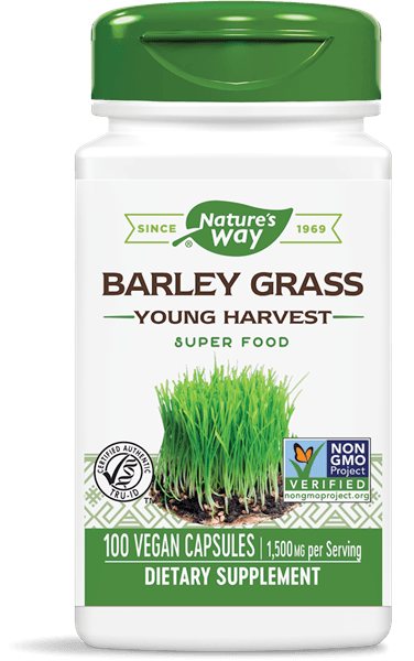 Gerst gras jonge oogst 500 mg (100 Capsules) - Nature's Way